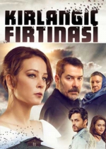 Kırlangıç Fırtınası poster